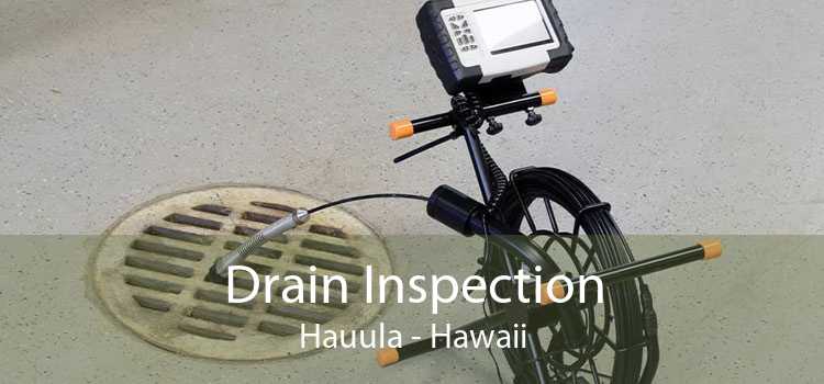 Drain Inspection Hauula - Hawaii