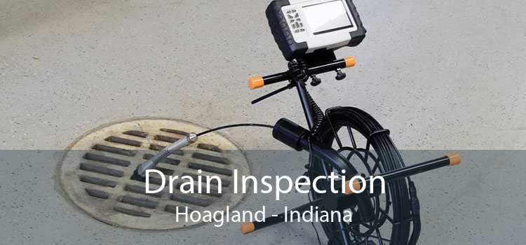 Drain Inspection Hoagland - Indiana