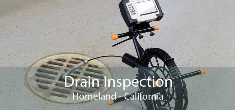 Drain Inspection Homeland - California