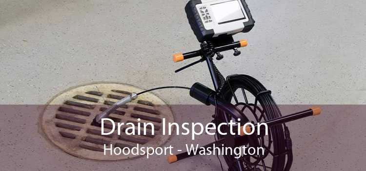Drain Inspection Hoodsport - Washington