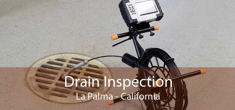 Drain Inspection La Palma - California