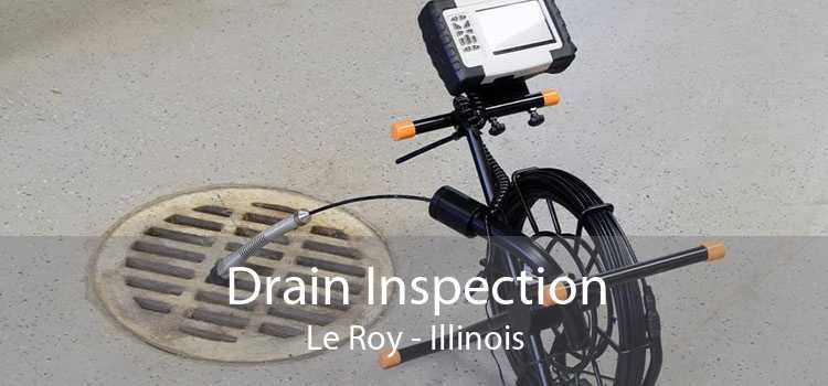 Drain Inspection Le Roy - Illinois