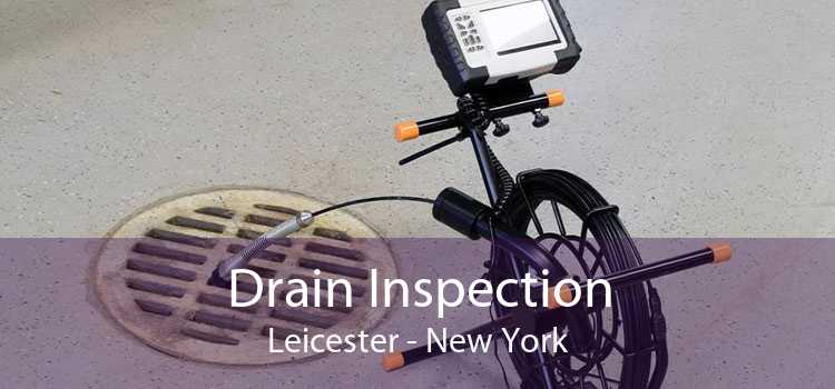 Drain Inspection Leicester - New York