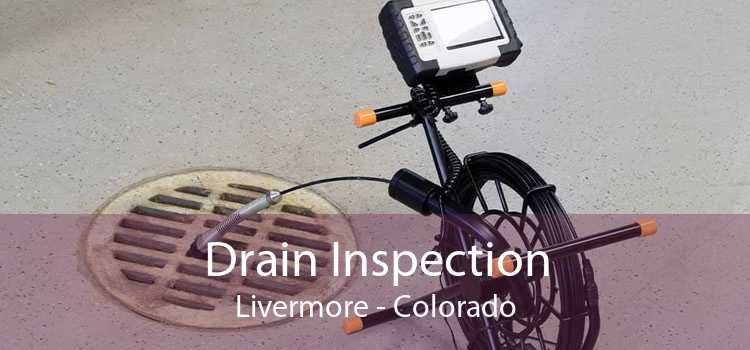 Drain Inspection Livermore - Colorado