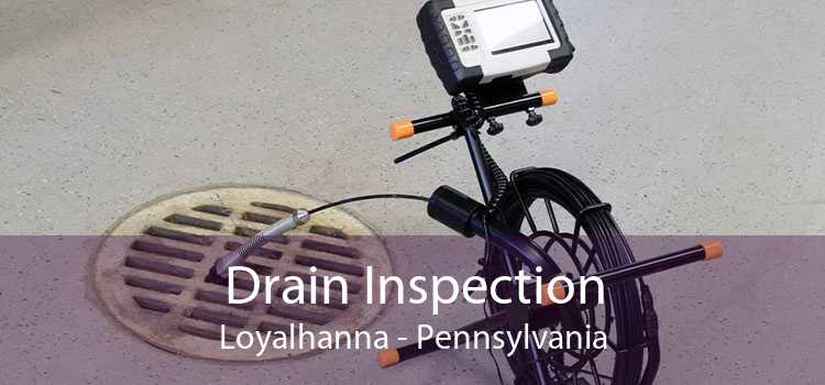 Drain Inspection Loyalhanna - Pennsylvania