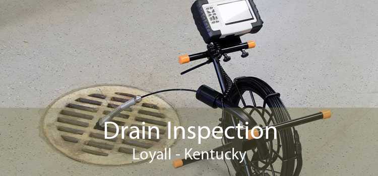 Drain Inspection Loyall - Kentucky