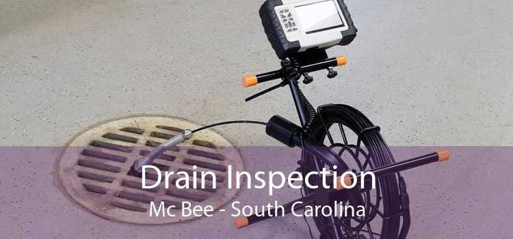 Drain Inspection Mc Bee - South Carolina