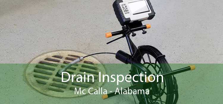 Drain Inspection Mc Calla - Alabama