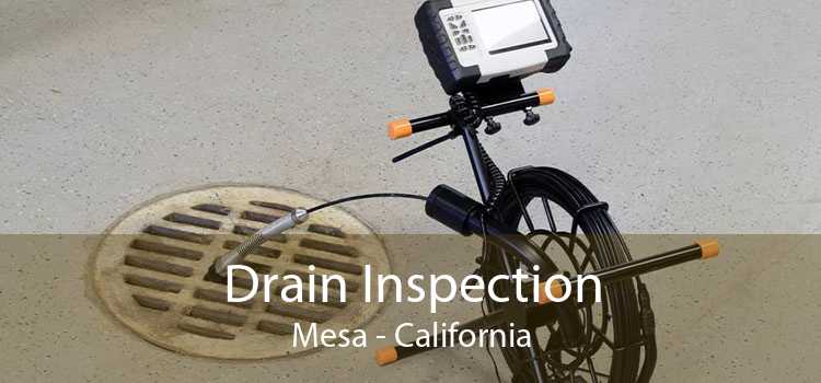 Drain Inspection Mesa - California
