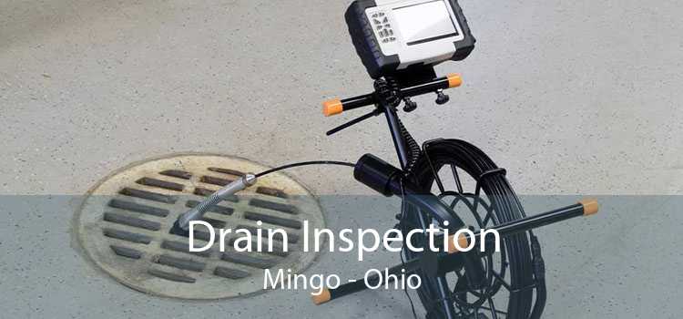 Drain Inspection Mingo - Ohio