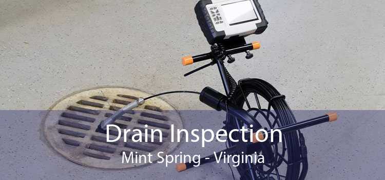 Drain Inspection Mint Spring - Virginia
