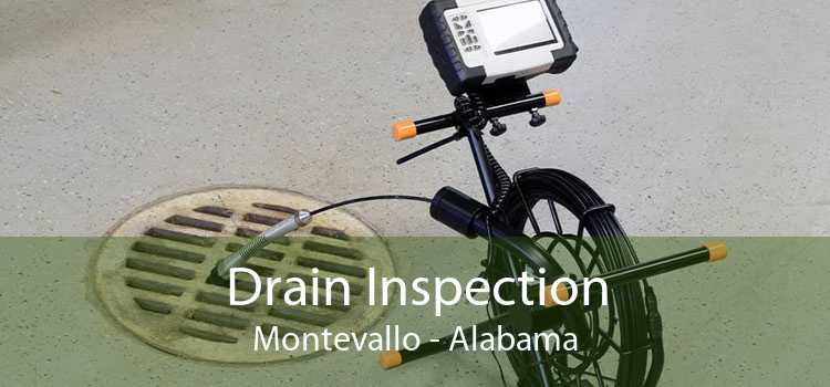 Drain Inspection Montevallo - Alabama