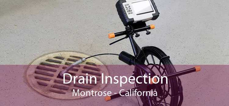 Drain Inspection Montrose - California