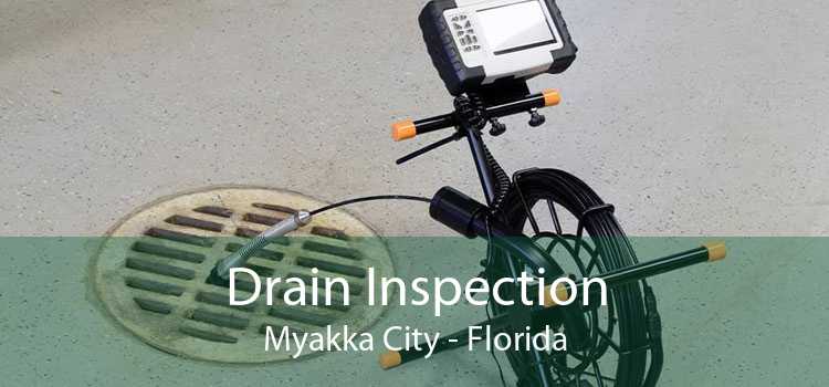 Drain Inspection Myakka City - Florida