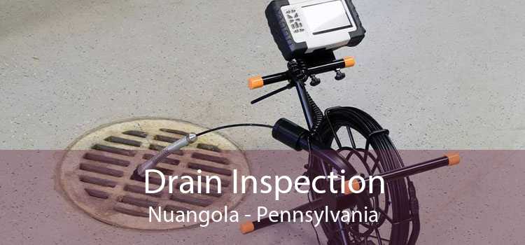 Drain Inspection Nuangola - Pennsylvania