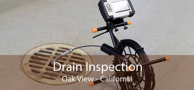 Drain Inspection Oak View - California