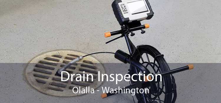 Drain Inspection Olalla - Washington