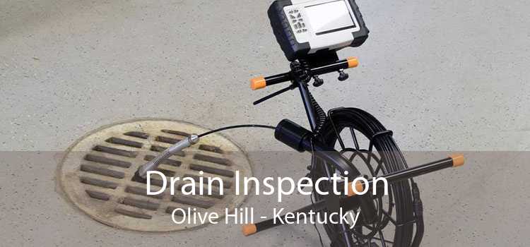 Drain Inspection Olive Hill - Kentucky