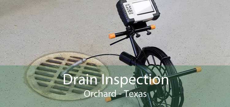 Drain Inspection Orchard - Texas
