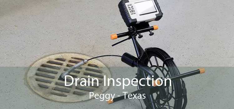 Drain Inspection Peggy - Texas