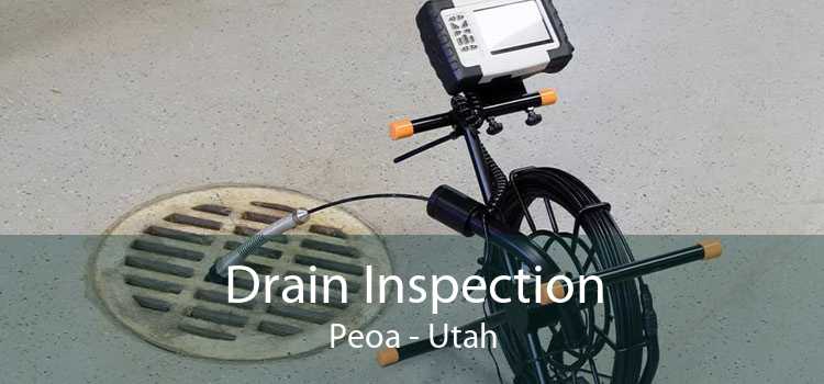 Drain Inspection Peoa - Utah