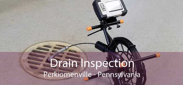 Drain Inspection Perkiomenville - Pennsylvania