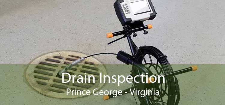 Drain Inspection Prince George - Virginia