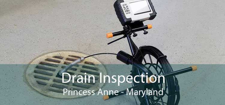 Drain Inspection Princess Anne - Maryland