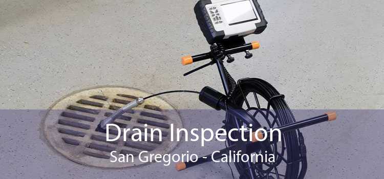 Drain Inspection San Gregorio - California