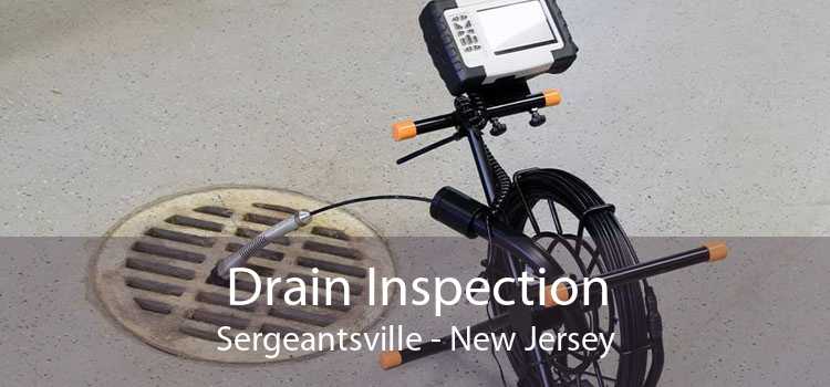 Drain Inspection Sergeantsville - New Jersey