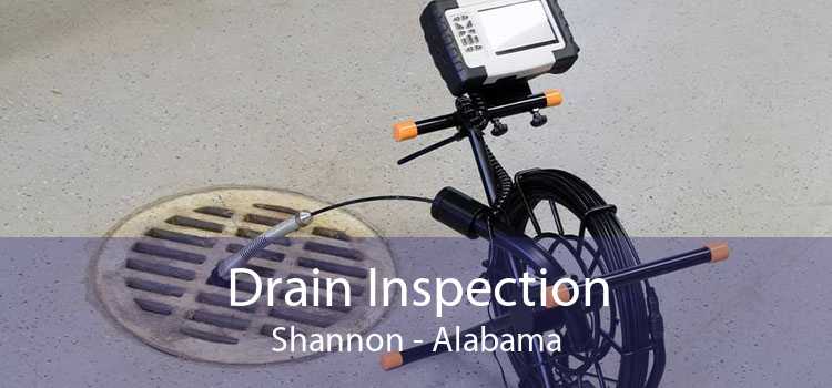 Drain Inspection Shannon - Alabama