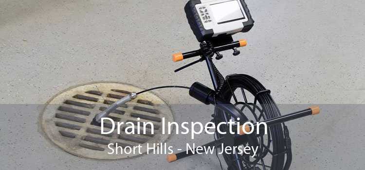 Drain Inspection Short Hills - New Jersey