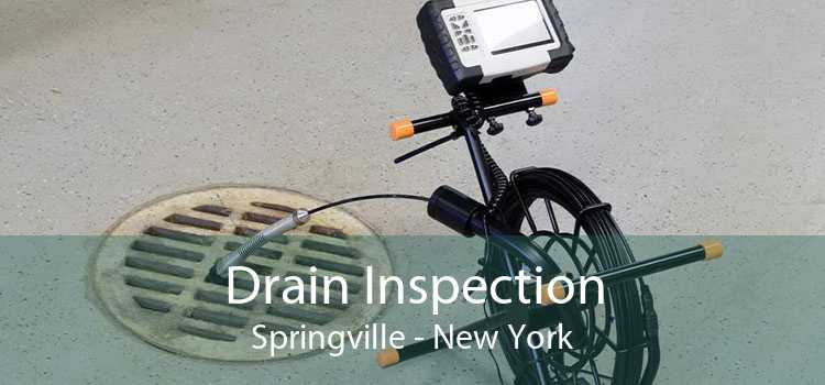 Drain Inspection Springville - New York