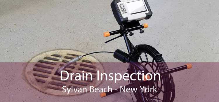 Drain Inspection Sylvan Beach - New York