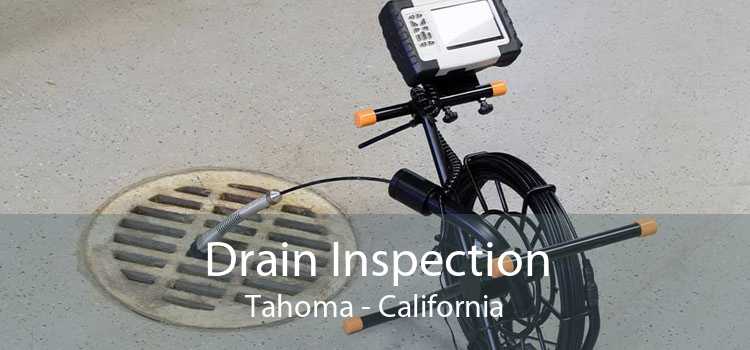 Drain Inspection Tahoma - California