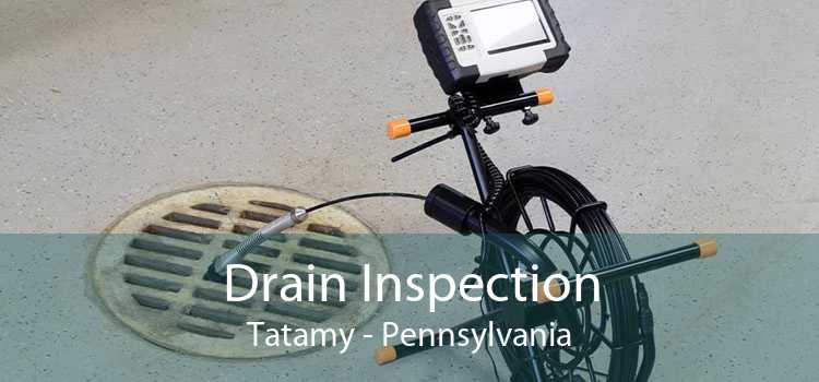 Drain Inspection Tatamy - Pennsylvania