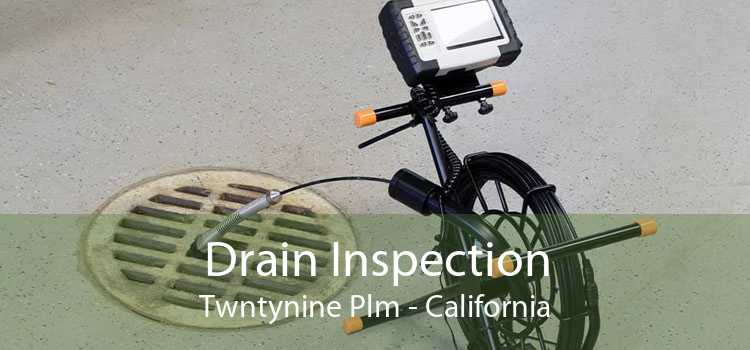 Drain Inspection Twntynine Plm - California