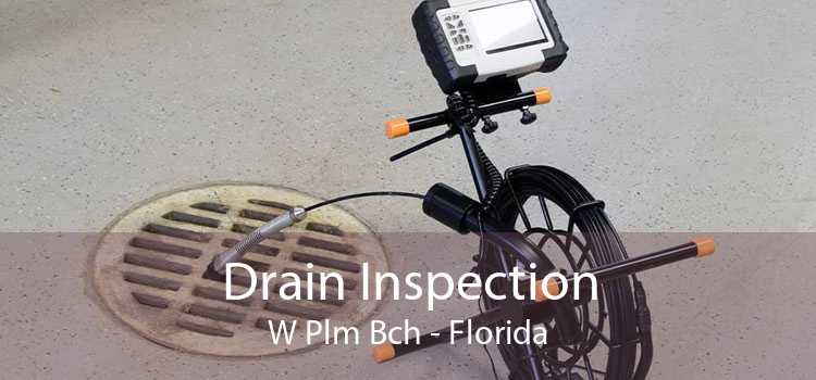 Drain Inspection W Plm Bch - Florida