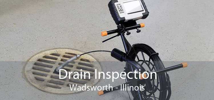 Drain Inspection Wadsworth - Illinois