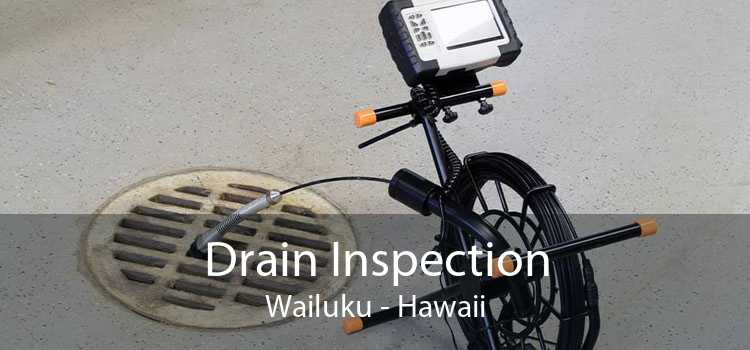 Drain Inspection Wailuku - Hawaii