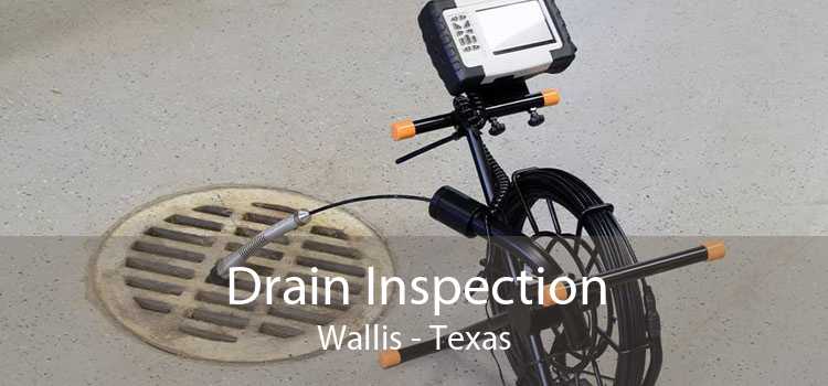 Drain Inspection Wallis - Texas