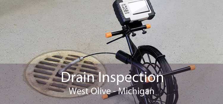 Drain Inspection West Olive - Michigan