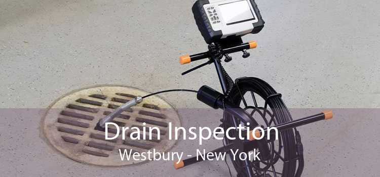 Drain Inspection Westbury - New York