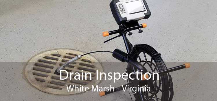 Drain Inspection White Marsh - Virginia