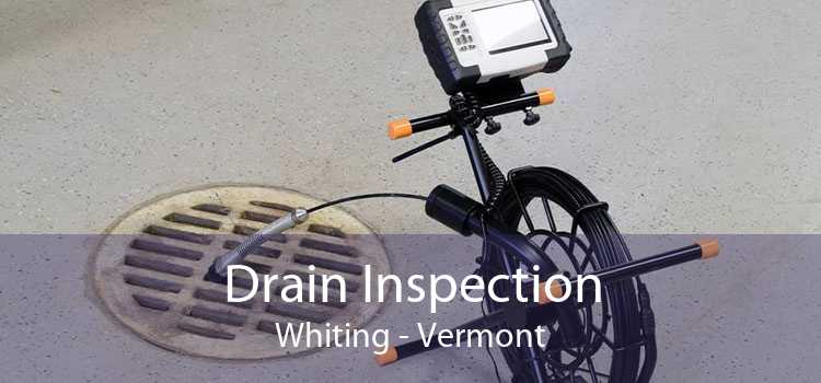 Drain Inspection Whiting - Vermont