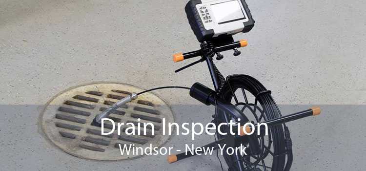 Drain Inspection Windsor - New York