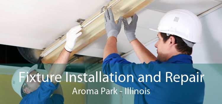 Fixture Installation and Repair Aroma Park - Illinois