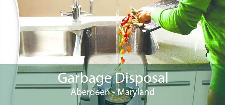 Garbage Disposal Aberdeen - Maryland