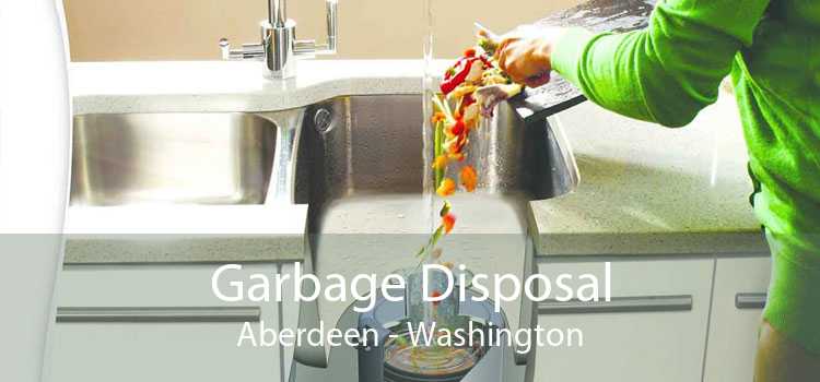 Garbage Disposal Aberdeen - Washington