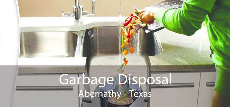 Garbage Disposal Abernathy - Texas